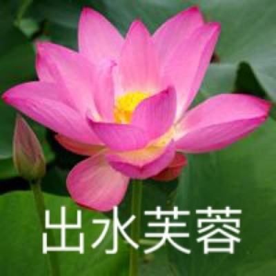老板多放辣官方版下载